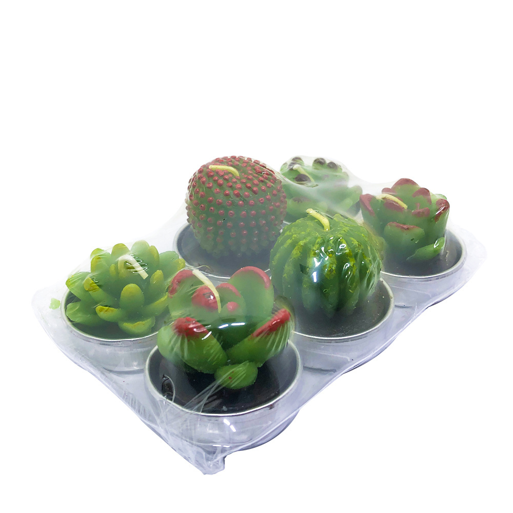 Gift Candle Set 6 Pcs Mini Cactus Tealight Succulent Candles