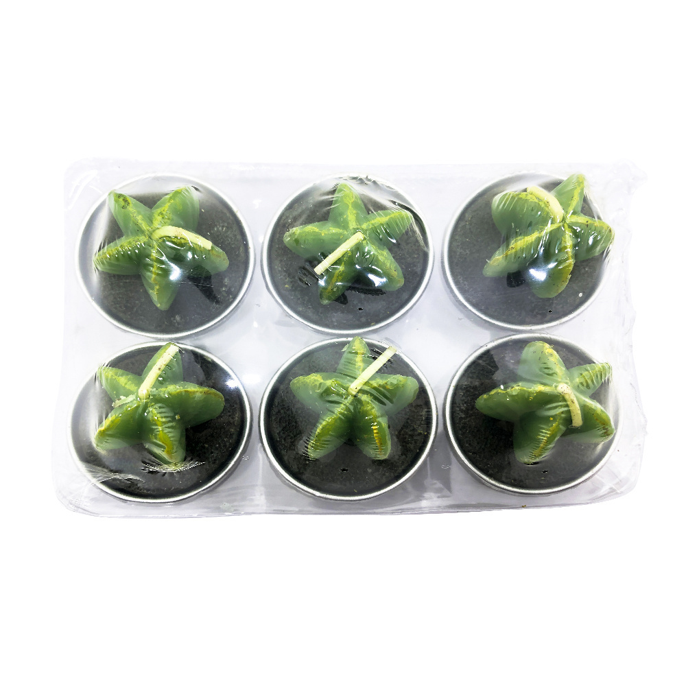 Gift Candle Set 6 Pcs Mini Cactus Tealight Succulent Candles