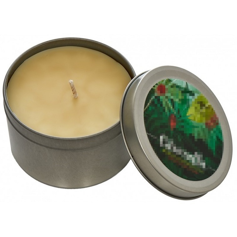 Vanilla Scented Candle Tins with Lids long lasting soy wax candles