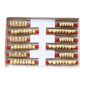 3 set/box A2 A3 Polymer Denture acrylic Tooth S/M/L Full Set Dental Resin Teeth