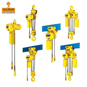 Allman High Quality Electric Chian Hoist Supplier Crane Hoists