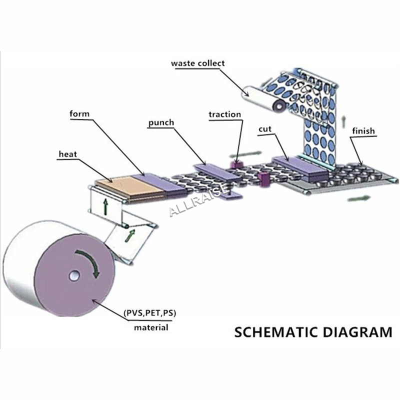 Automatic Plastic Cup Lid Making Machine Disposable paper cup lid making machine from printed roll