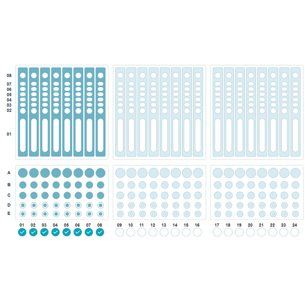 24 Throughput Nucleic Acid Purification Automate DNA Extraction System