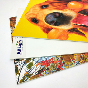 Allsign Popular digital printing custom die cut shape 2mm 3mm 5mm thickness core komatex sintra forex pvc foam board