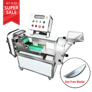 Taiwan Factory Industrial Fruit Plantain Banana Lemon Chips Slice Vegetable Cutter Machine