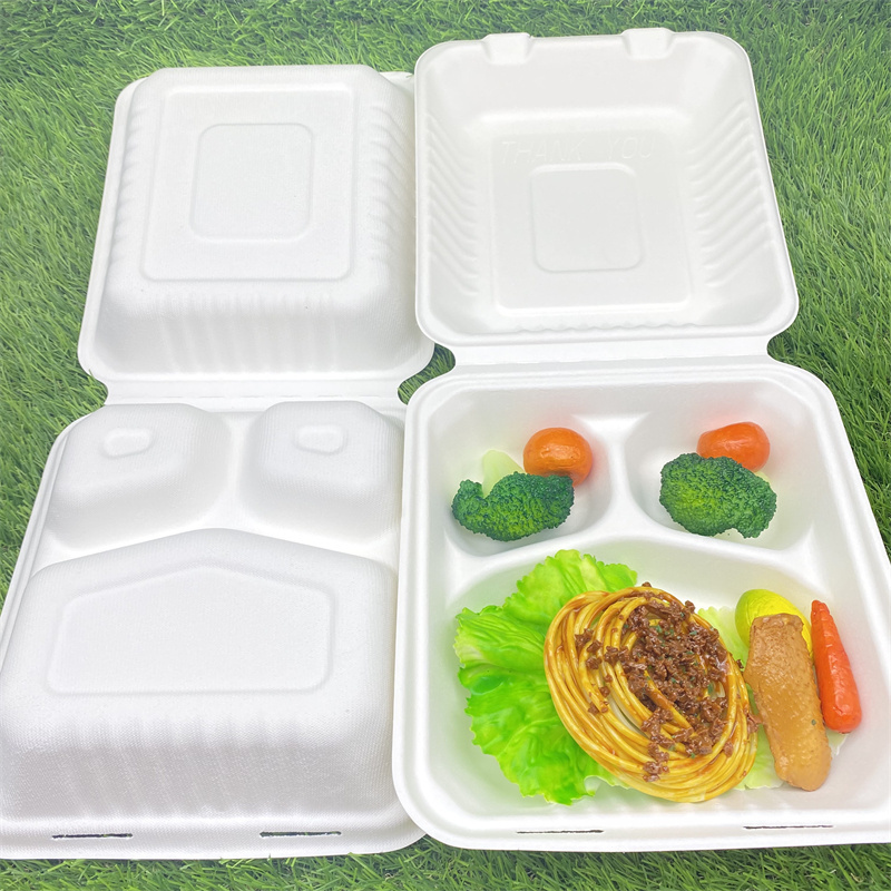 Biodegradable Bagasse Pulp Molding Take Away Bento Clamshell Lunch Boxes 2 compartment