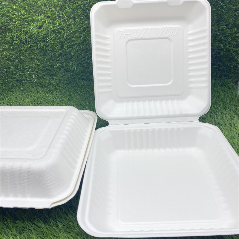 Biodegradable Bagasse Pulp Molding Take Away Bento Clamshell Lunch Boxes 2 compartment