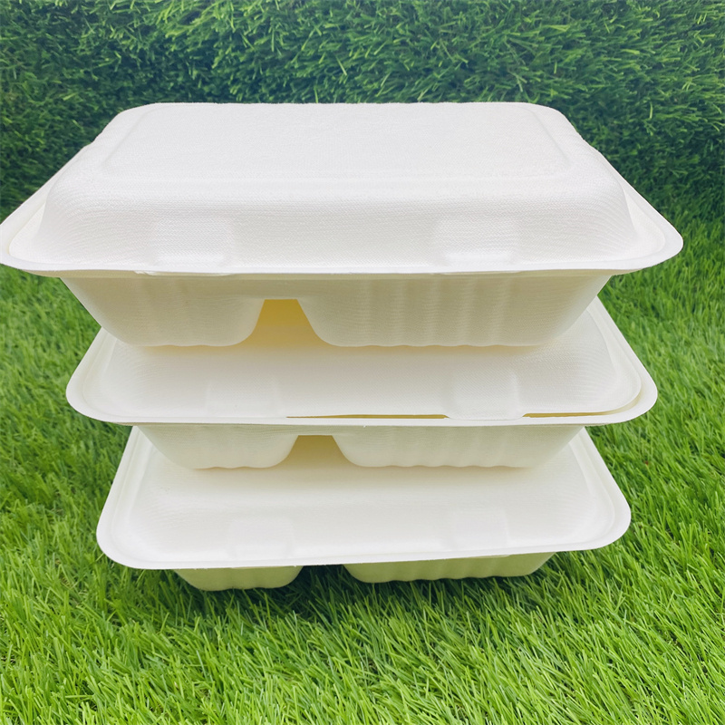 Biodegradable Bagasse Pulp Molding Take Away Bento Clamshell Lunch Boxes 2 compartment