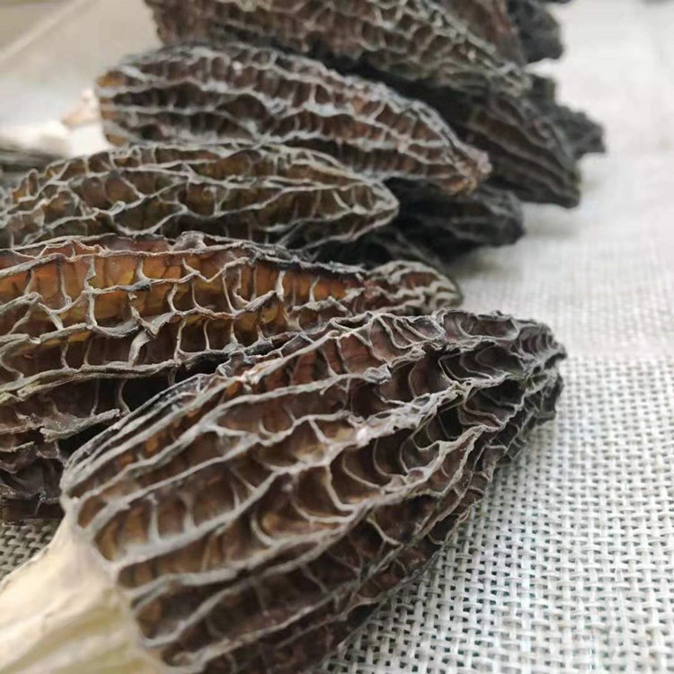 Bulk natural grow dried morel mushroom price of black morel mushroom