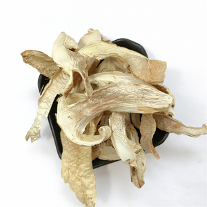 song rong hot sell Yunnan wild fresh dried matsutake mushroom with good quality