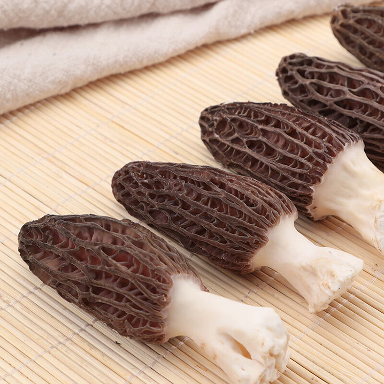 Bulk natural grow dried morel mushroom price of black morel mushroom