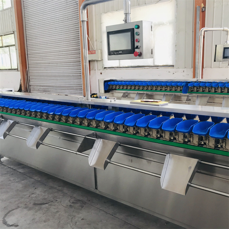 Convey Belt Check Weigher Egg Industrial Stainless Steel remote  Grading Weight Tomato sorting and picking machine