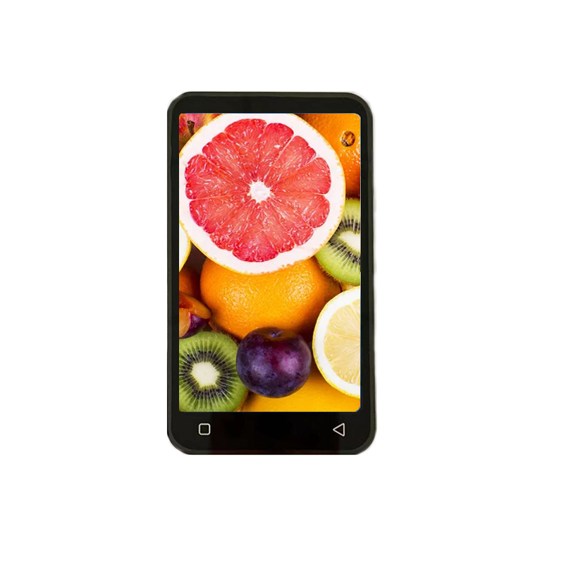 Lcd tft  Display 4 Inch Touch Display 480*800 MIPI interface Capacitive Touch Screen