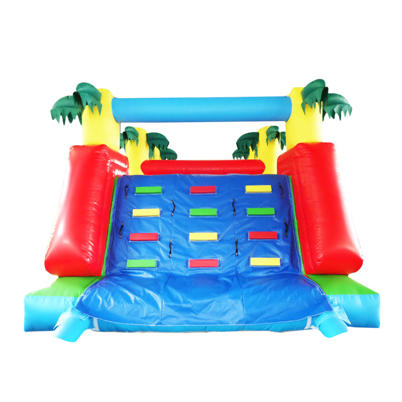 Custom Made Water Rock Climbing Slide Super Quality Inflatable Water slide with Climbing Wall