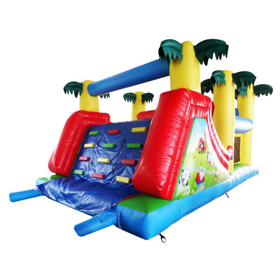 Custom Made Water Rock Climbing Slide Super Quality Inflatable Water slide with Climbing Wall