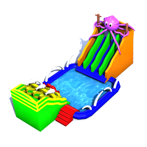 New Design Kids Party Inflatable Small Pool Water Slide Custom Land Water Play Equipment Water Park