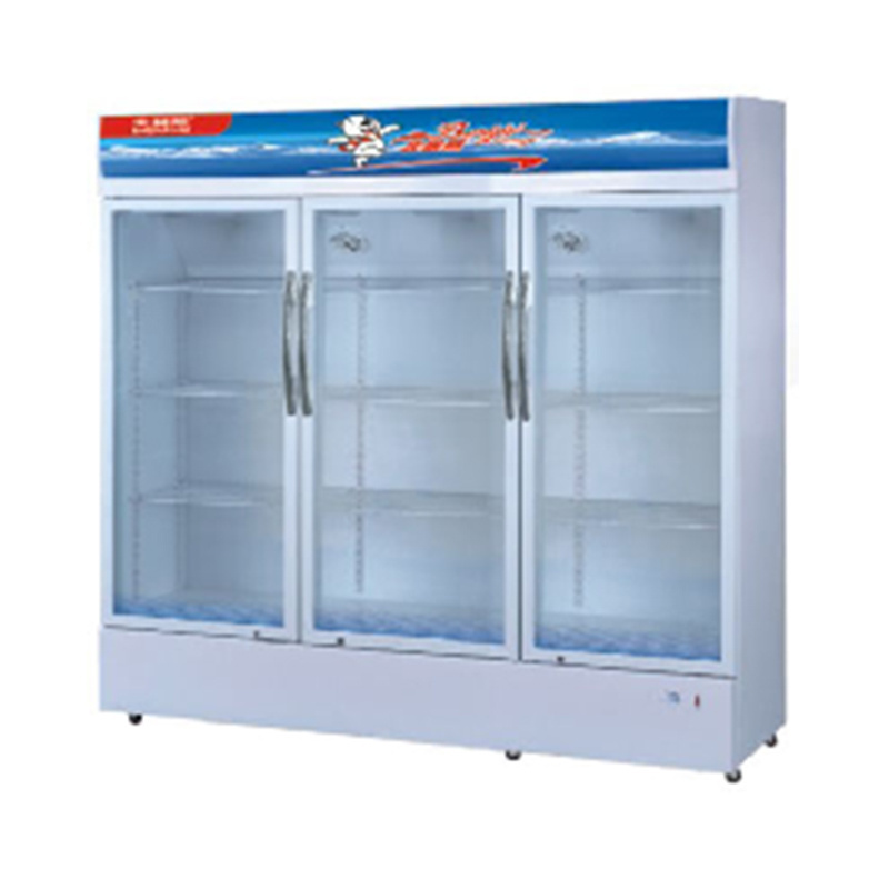 professional manufacturer refrigerators freezers commercial freezer showcase