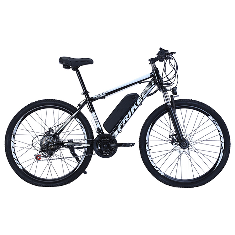 26 Inch Fat tire 36V 250W Motor Aluminium Alloy Frame 2 Speed  Electric Bicycle electric bicycles for adults