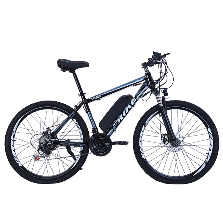 26 Inch Fat tire 36V 250W Motor Aluminium Alloy Frame 2 Speed  Electric Bicycle electric bicycles for adults