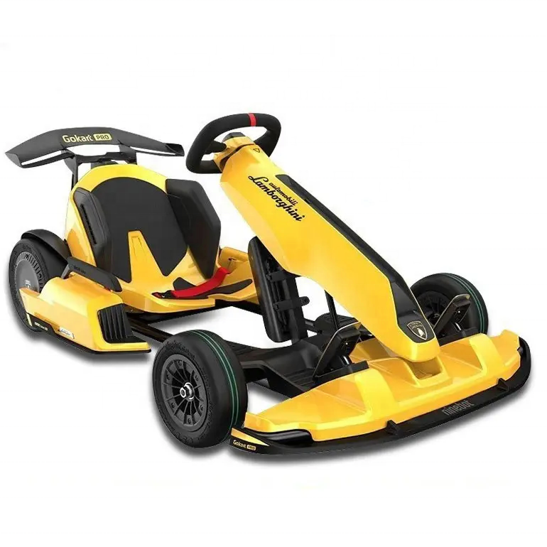 New Arrival High Quality Balance Car Go Karts Two in One Drifting 63V 4800W 4 Wheels Electric Go Karts for Adults