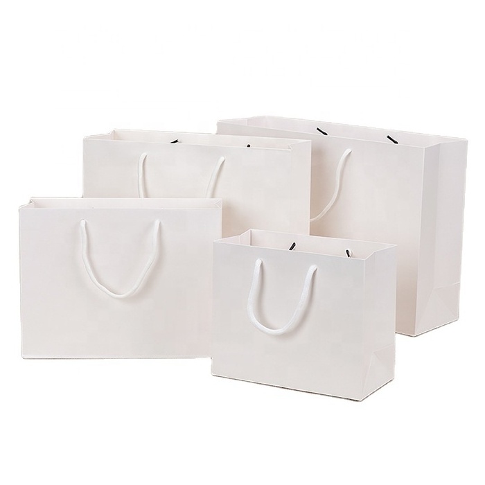 Biodegradable Pe Polypropylene Coated Kraft Paper Bag