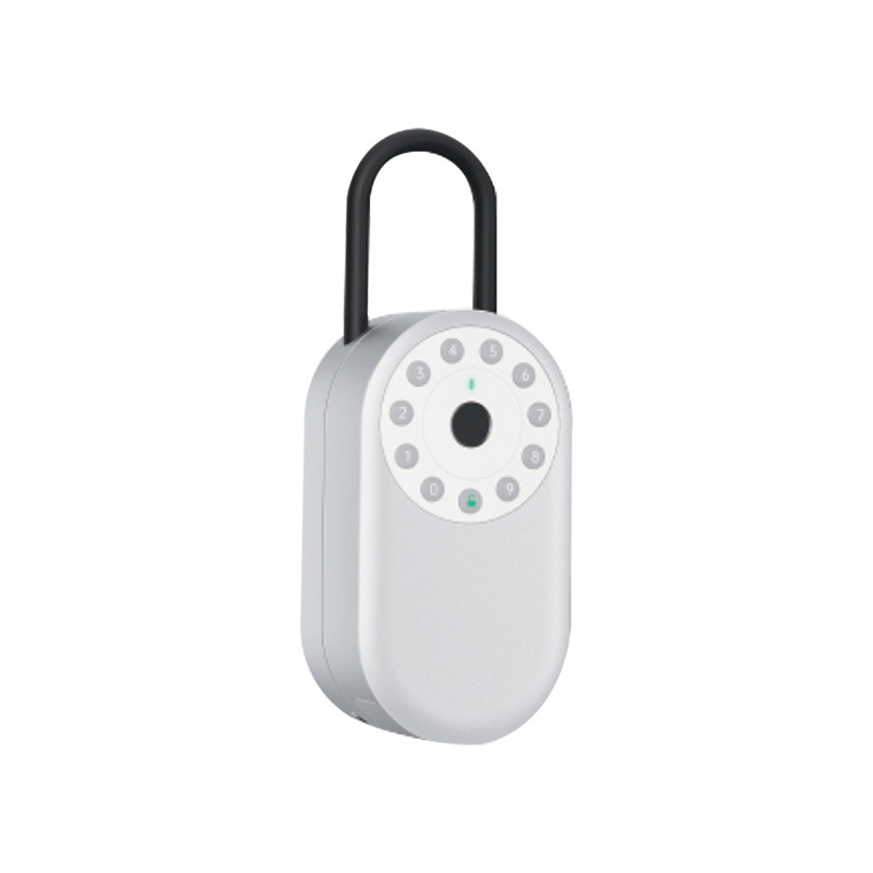 Tuya Bluetooth Outdoor Waterproof Wall Mounted Security Key box Fingerprint Password  Electronic Smart Padlock