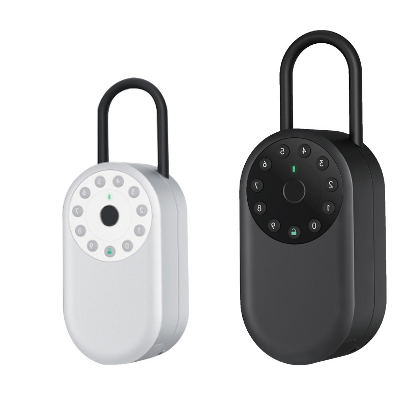 Tuya Bluetooth Outdoor Waterproof Wall Mounted Security Key box Fingerprint Password  Electronic Smart Padlock