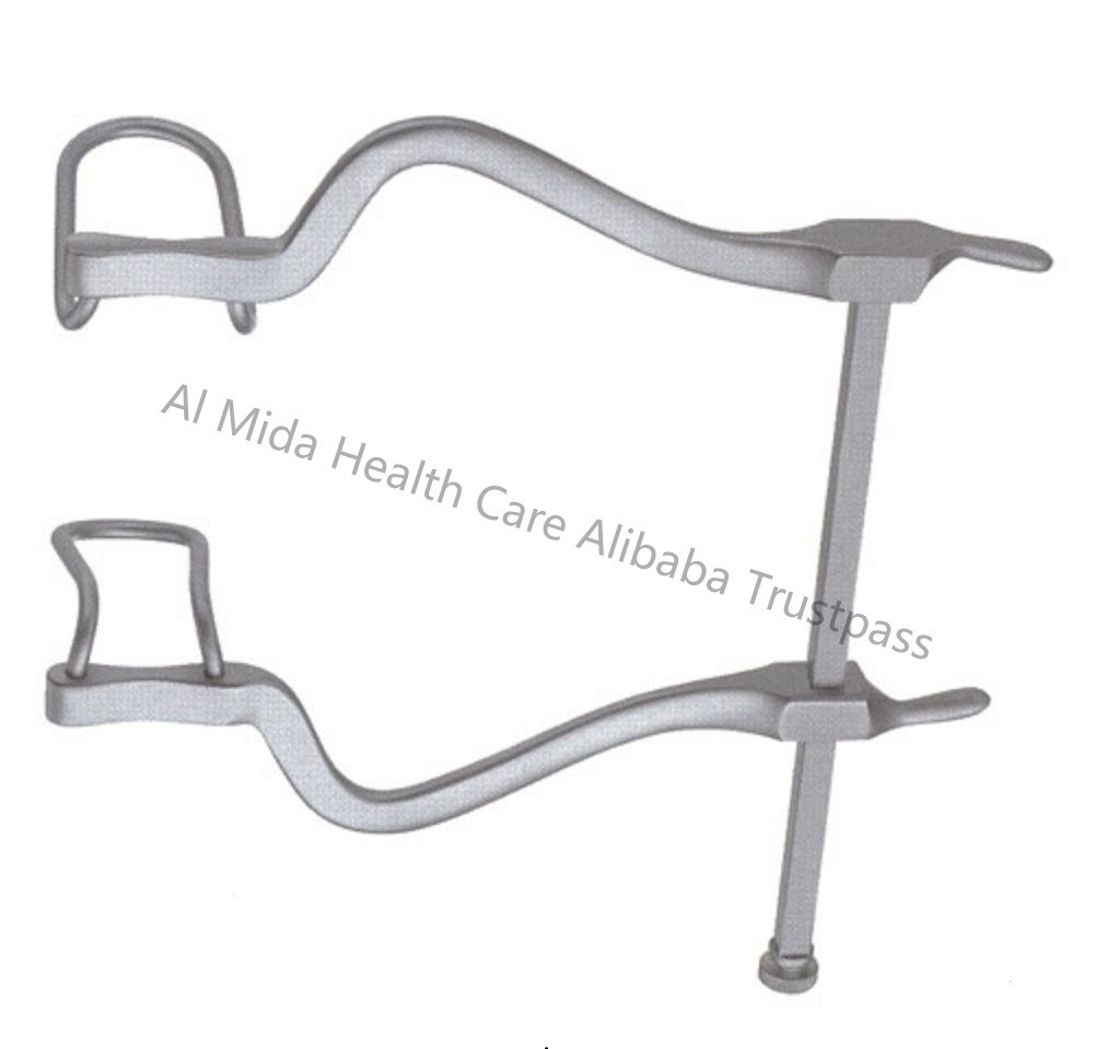 Customized High Quality Dental Instruments 2022 Cheap Price Steel Material Dental Retractor In Different Style