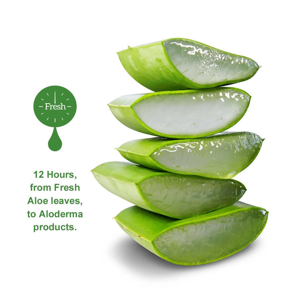 Organic Pure Aloe Vera Gel Skin Face Massage Hydrating Soothing Moisture Massage Gel Unisex USA Nuru Gel 3 Years Massage Lotion