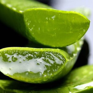 Organic Pure Aloe Vera Gel Skin Face Massage Hydrating Soothing Moisture Massage Gel Unisex USA Nuru Gel 3 Years Massage Lotion