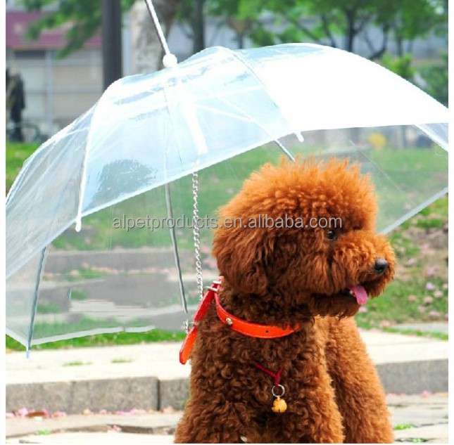 Transparent Waterproof Mini Pet Dog Cat Raincoat Umbrella With Leash