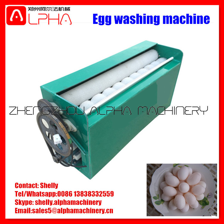 Professinal egg washing machine/ egg cleaning machine/automatic egg cleaner machine