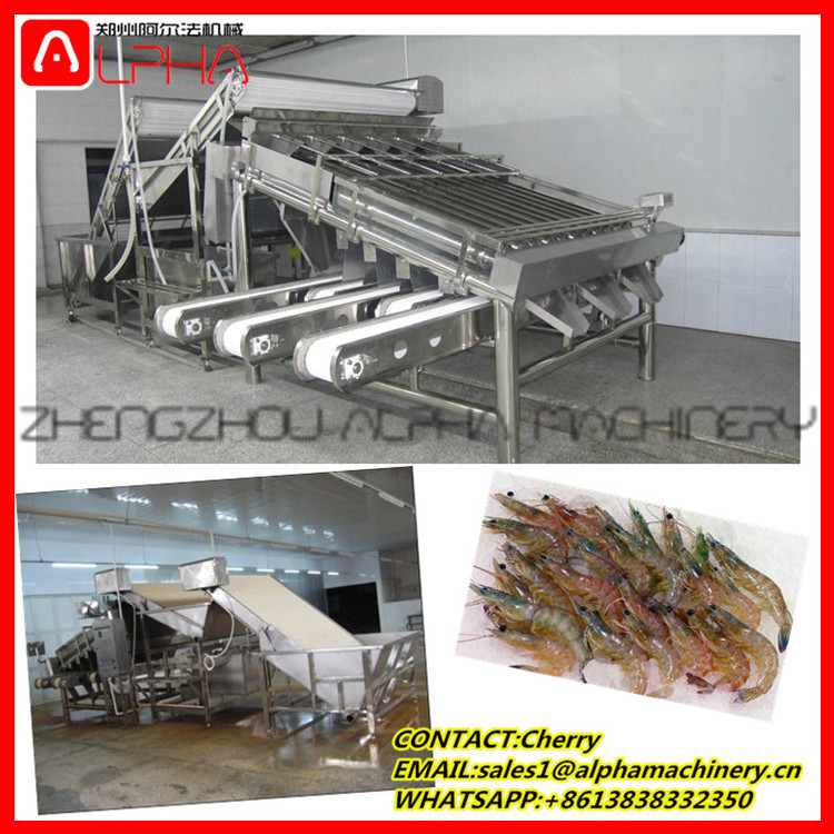 Industrial tuna fish processing grading equipment/shrimp grading machine