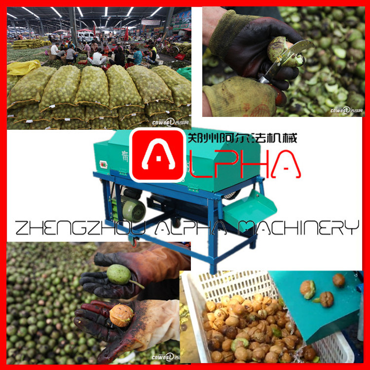 Optimized Quotation/ Stainlenss Steel Automatic Pecan Sheller Machinery