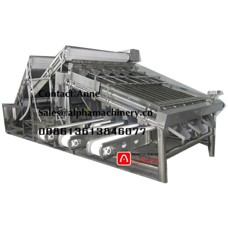 Industrial tuna fish processing grading equipment/shrimp grading machine