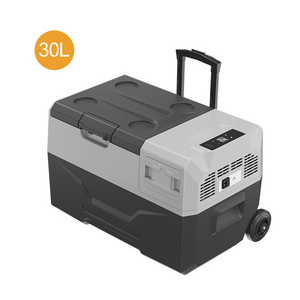 Alpicool Portable 12V DC Compressor Refrigerators and Freezers 30L Electric Cooler 24/240V Camping Car Fridge