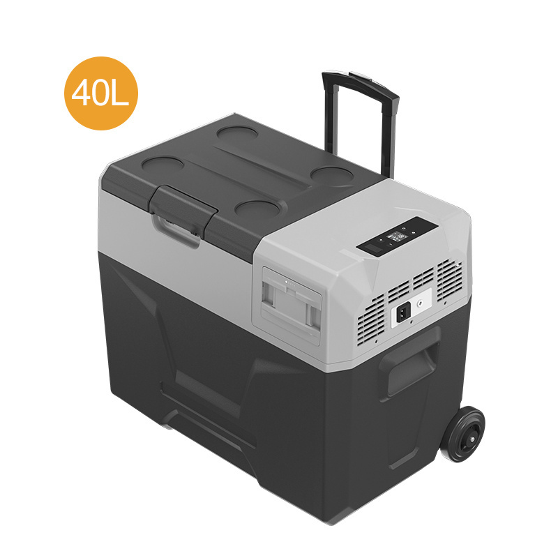 Alpicool Portable 12V DC Compressor Refrigerators and Freezers 30L Electric Cooler 24/240V Camping Car Fridge