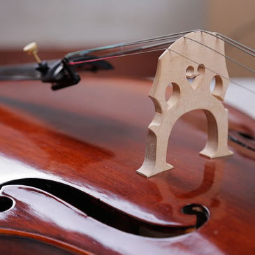 High quality handmade solid wood tiger skin grain special material patterned cello