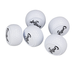 Custom logo Mini Novelty putter Putting Practice Flat Golf Balls Training Supplies Gifts