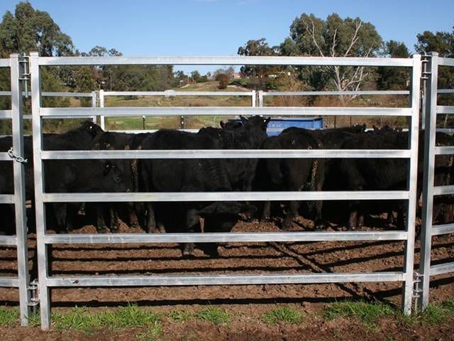 livestock and portable cattle  metal fence yard for feeder panels for sale