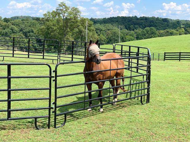 sheep farm fence wire galvanized cattle corral cattlel pvc 3 rail white horse farm fencing 8 foot high