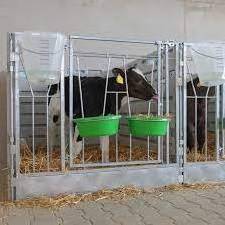 Customization wholesale dairy farm equipment cattle factories calf hutch