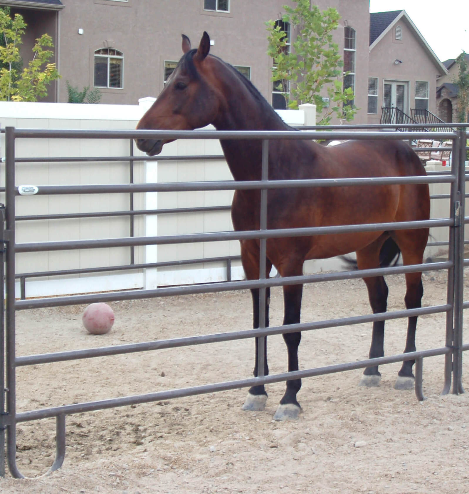 sheep farm fence wire galvanized cattle corral cattlel pvc 3 rail white horse farm fencing 8 foot high