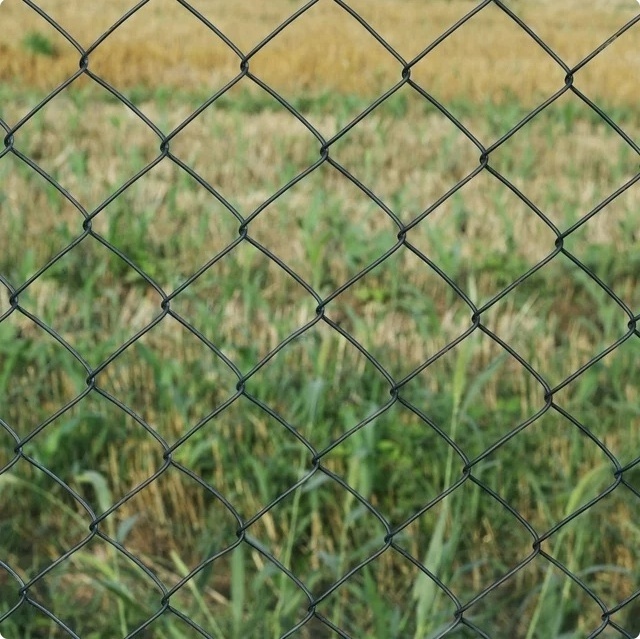 5FT Height 9-Gauge Black Color PVC Coated Chain Link Fence