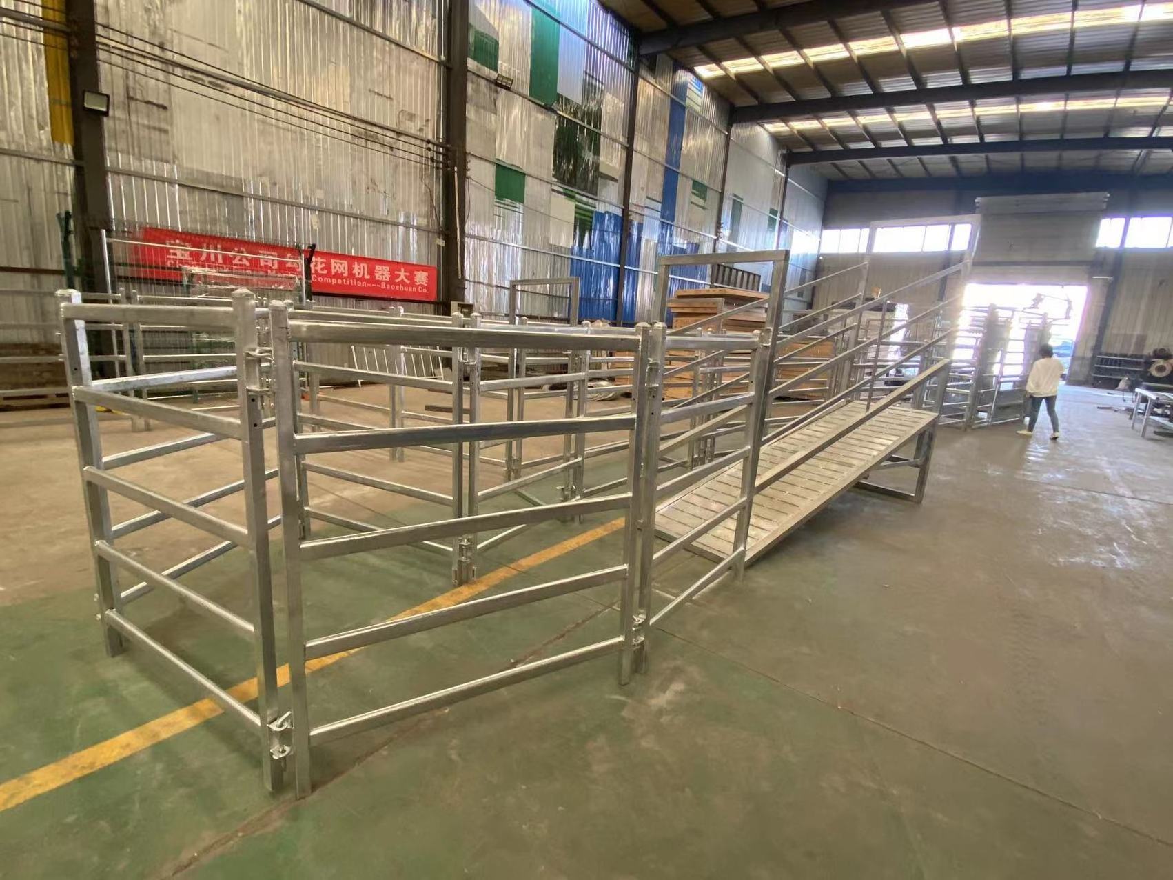 Cattle loading ramp trailer for cow transport