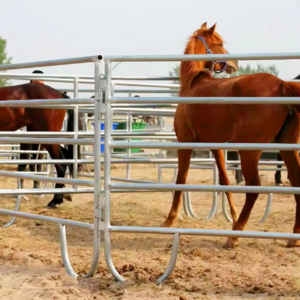 Round portable used horse panels product on farm for sale near me