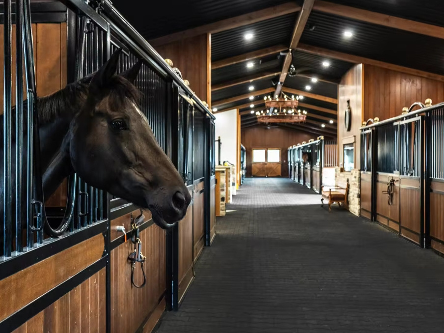 Steel hot dip standard horse barn door horse room frame only modular stable box horse stable