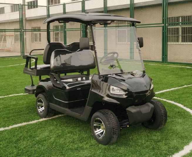 2 person high quality electric golf car AW2029KSZ cart