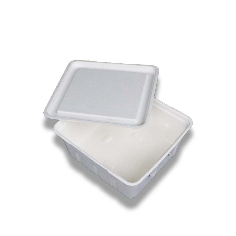 Custom Logo Wholesale Cheap Disposable Microwaveable Paper Pulp Mold For Take Away Food Container For Restaurants