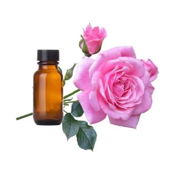 Wholesale Aromatherapy Essential Oil Bulk Rose Oil 100% Pure Plant Essential Oil For Aroma Diffuser Candle